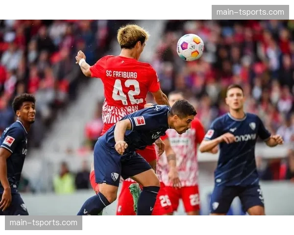 弗赖堡主帅施特赖希接受专访，谈及其长达十五年的执教生涯