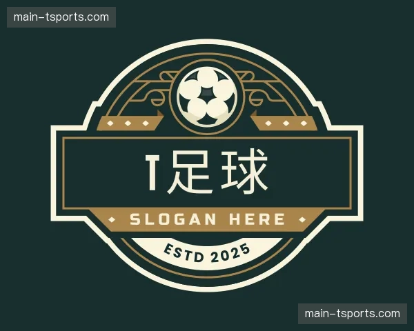 了解t足球
